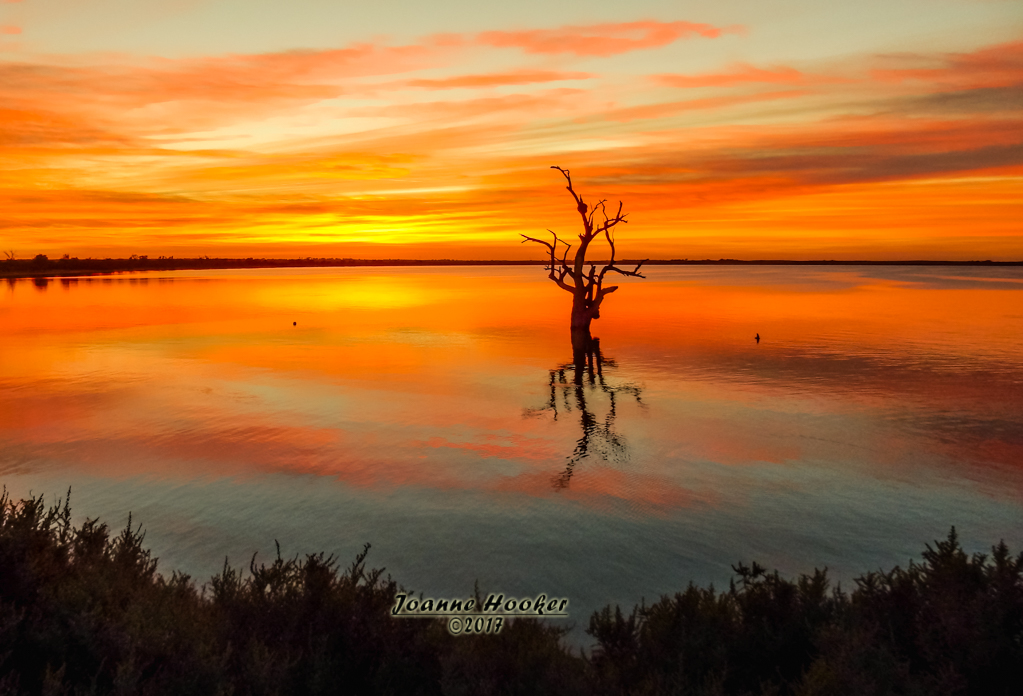 Lake Bonney Sunrise